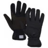 Snowlife - Multi WS Soft Shell Glove - Gants
